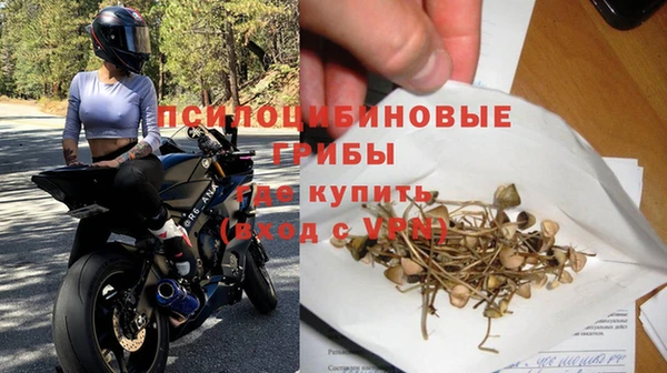 ешки Арсеньев