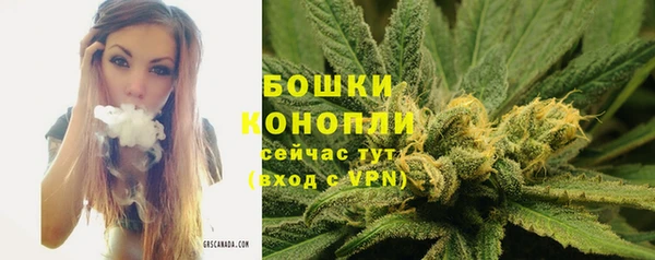 ешки Арсеньев