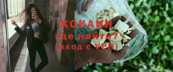 ешки Арсеньев